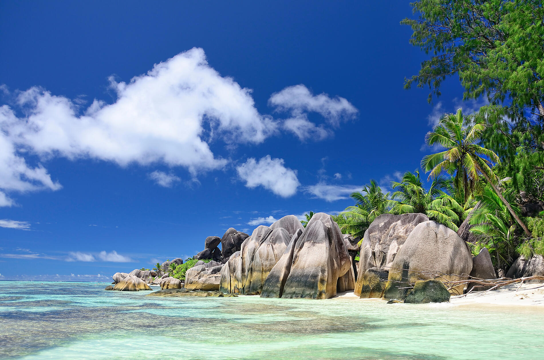 iStock_000018406868_Full.jpg