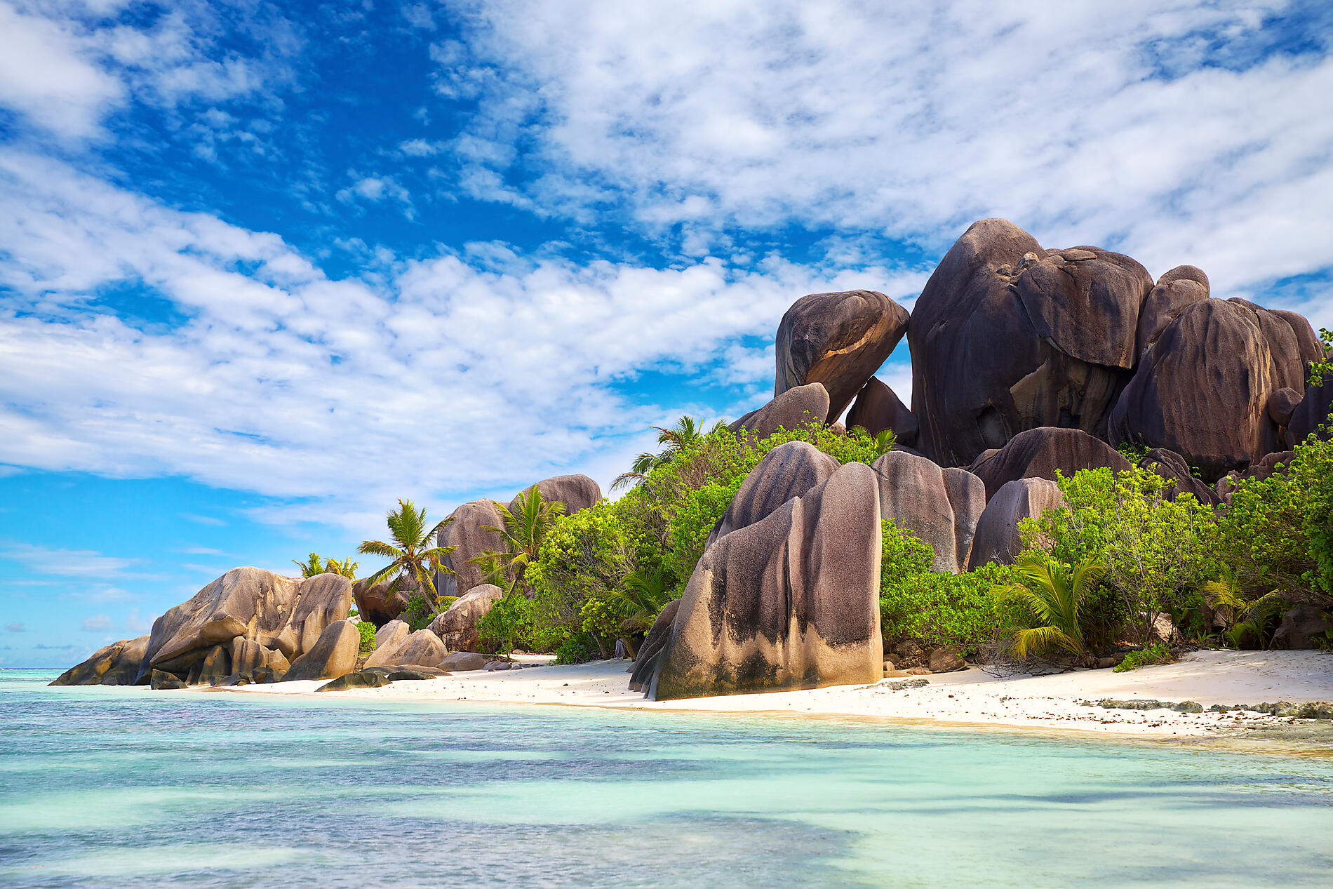 iStock_000054996004_Full.JPEG