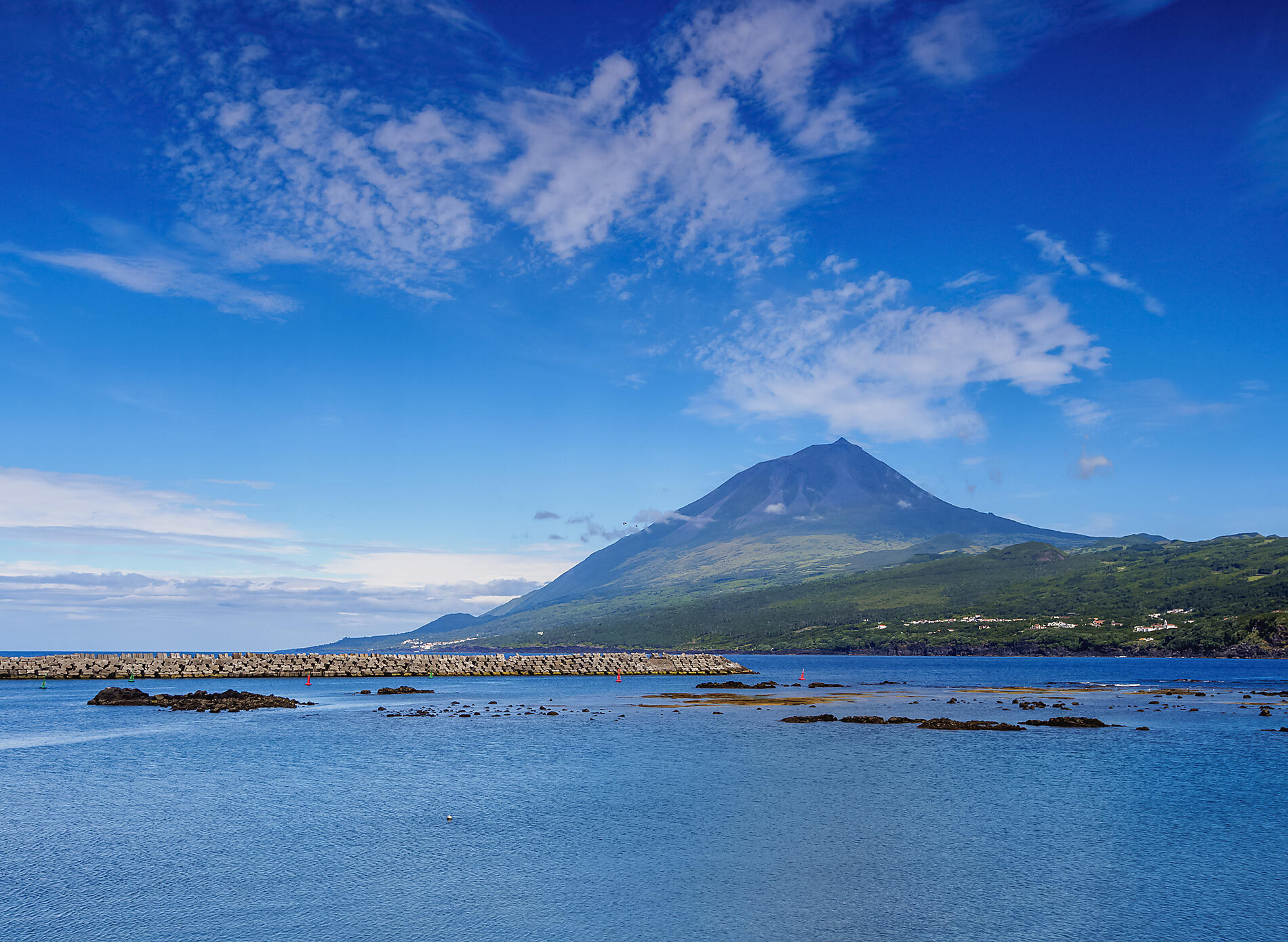 AdobeStock_197035999.jpeg