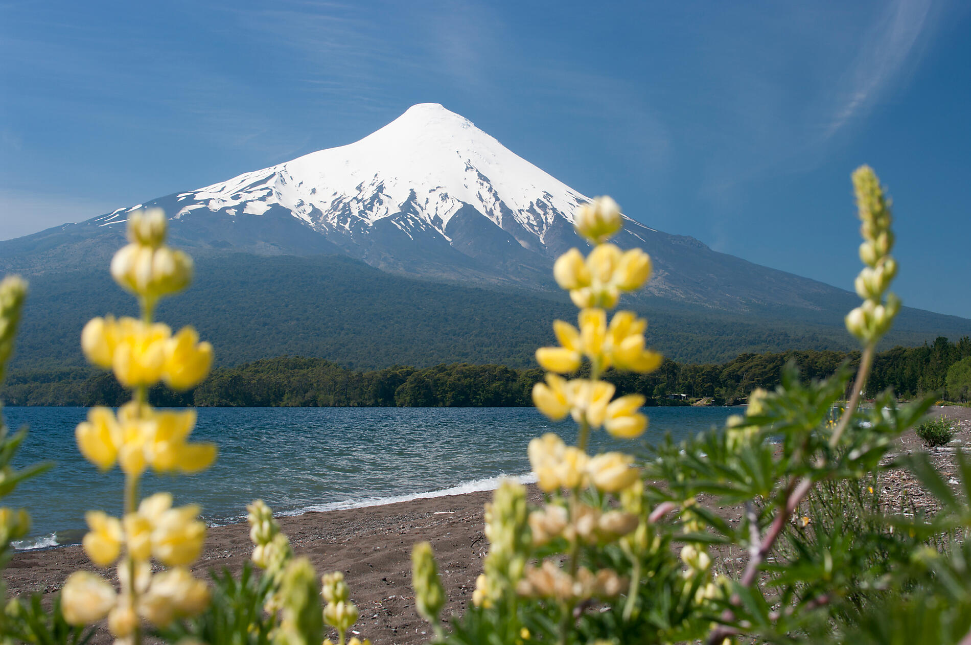 iStock_000017311833_Large.jpg