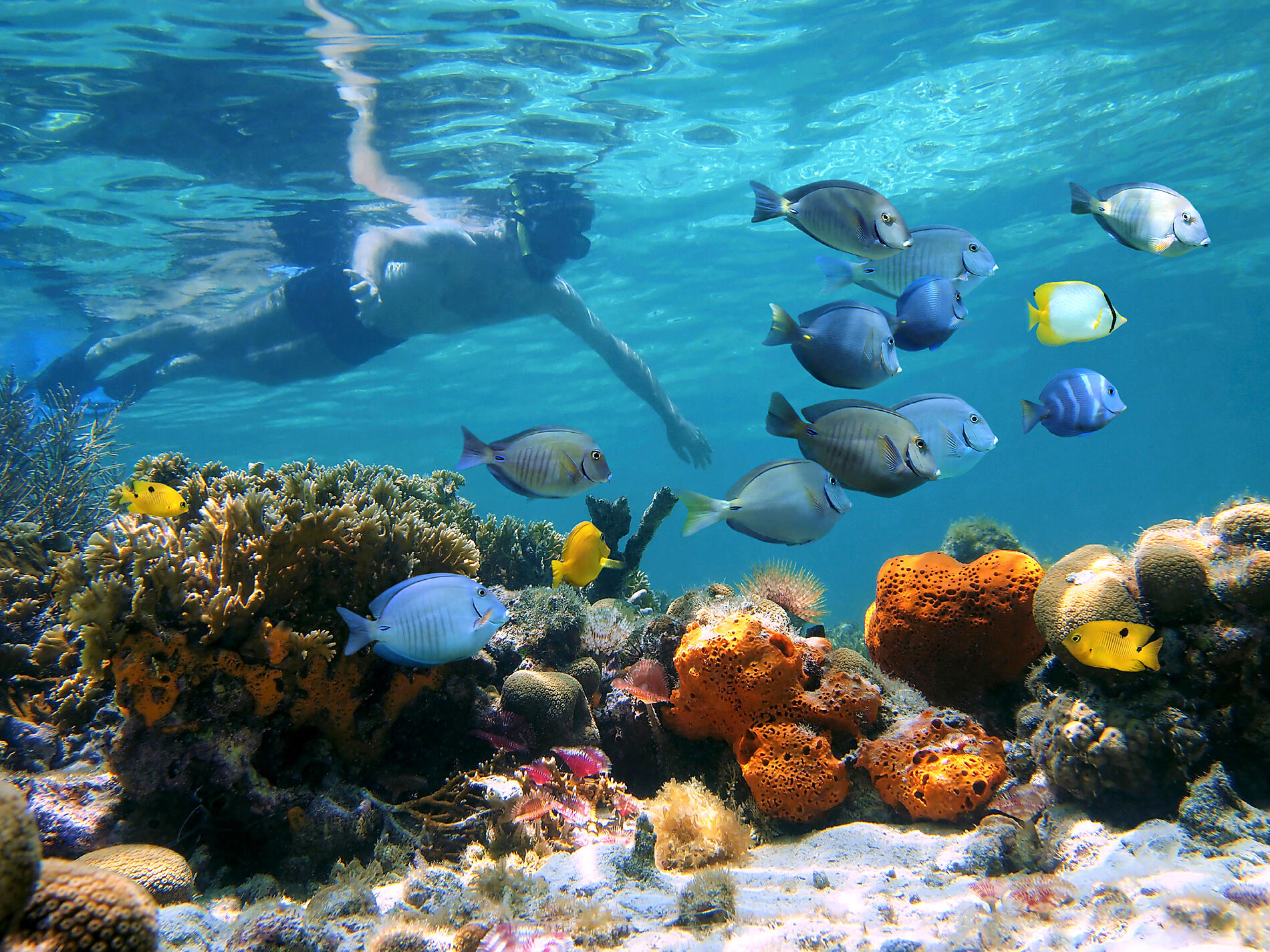 iStock_000020652479Large.jpg