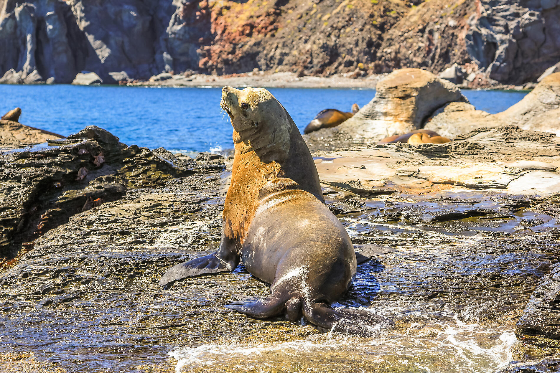 iStock-637282410.jpg