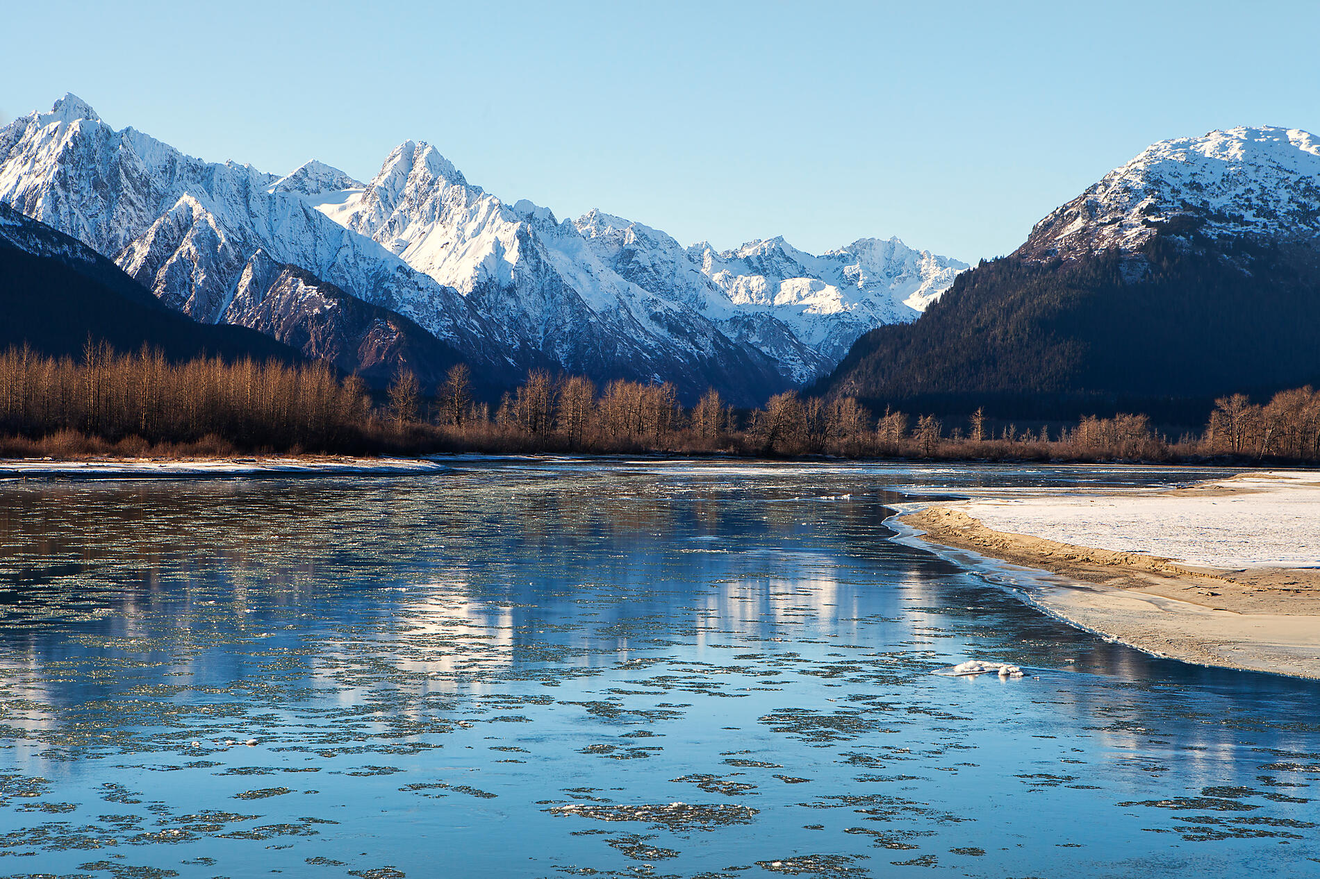 iStock_000052183420_Large.jpg