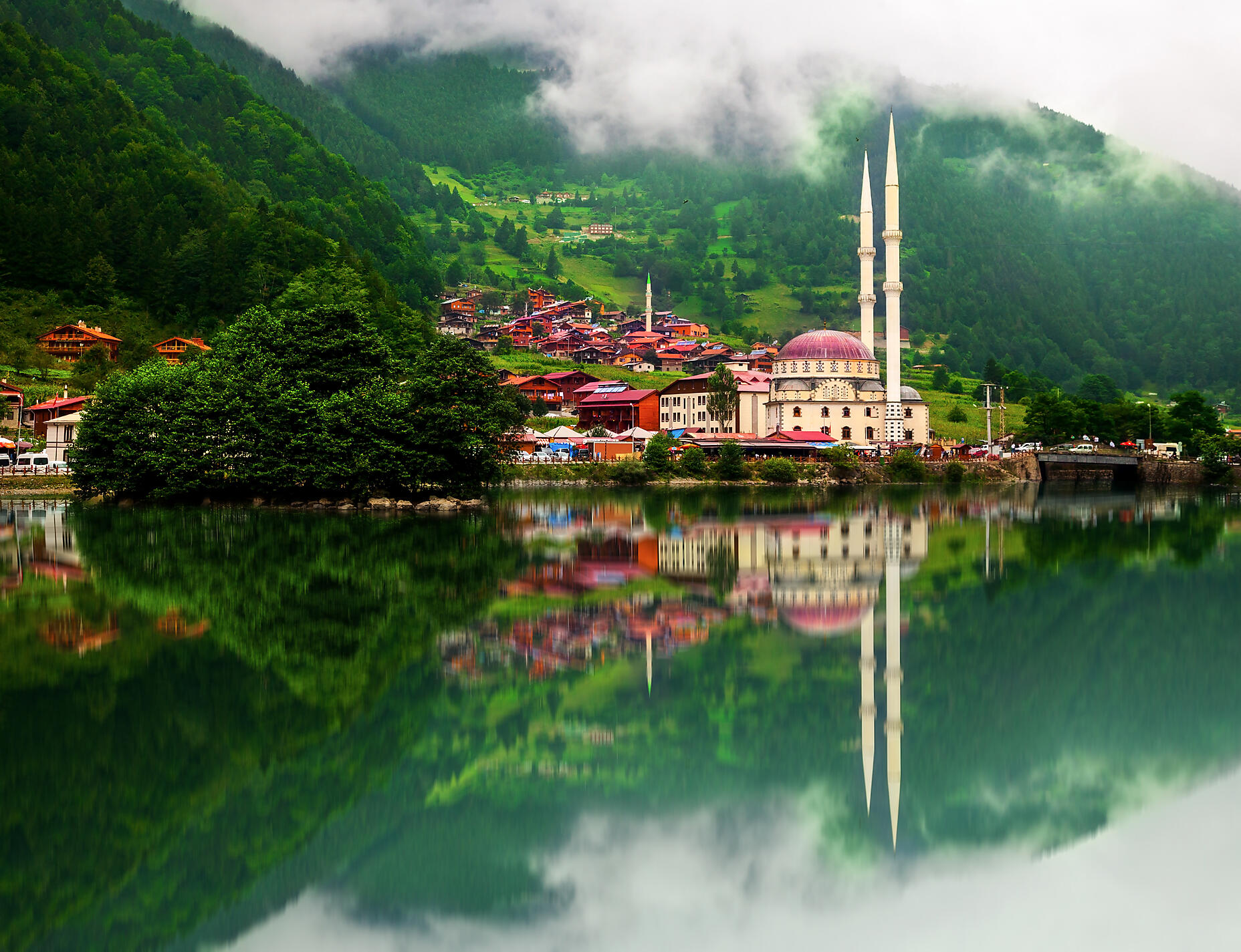 iStock-494226648.jpg