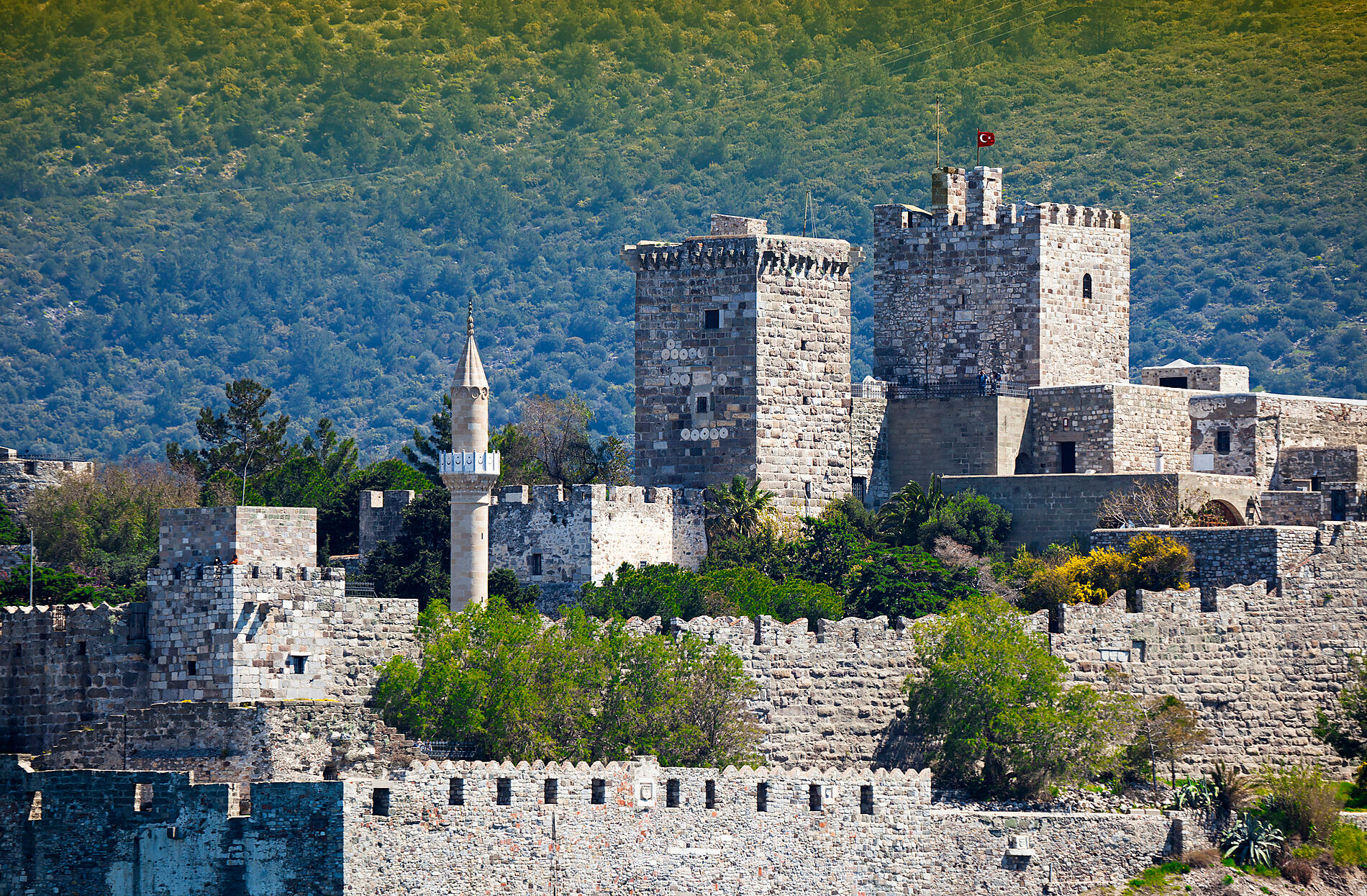 iStock-473428480.jpg
