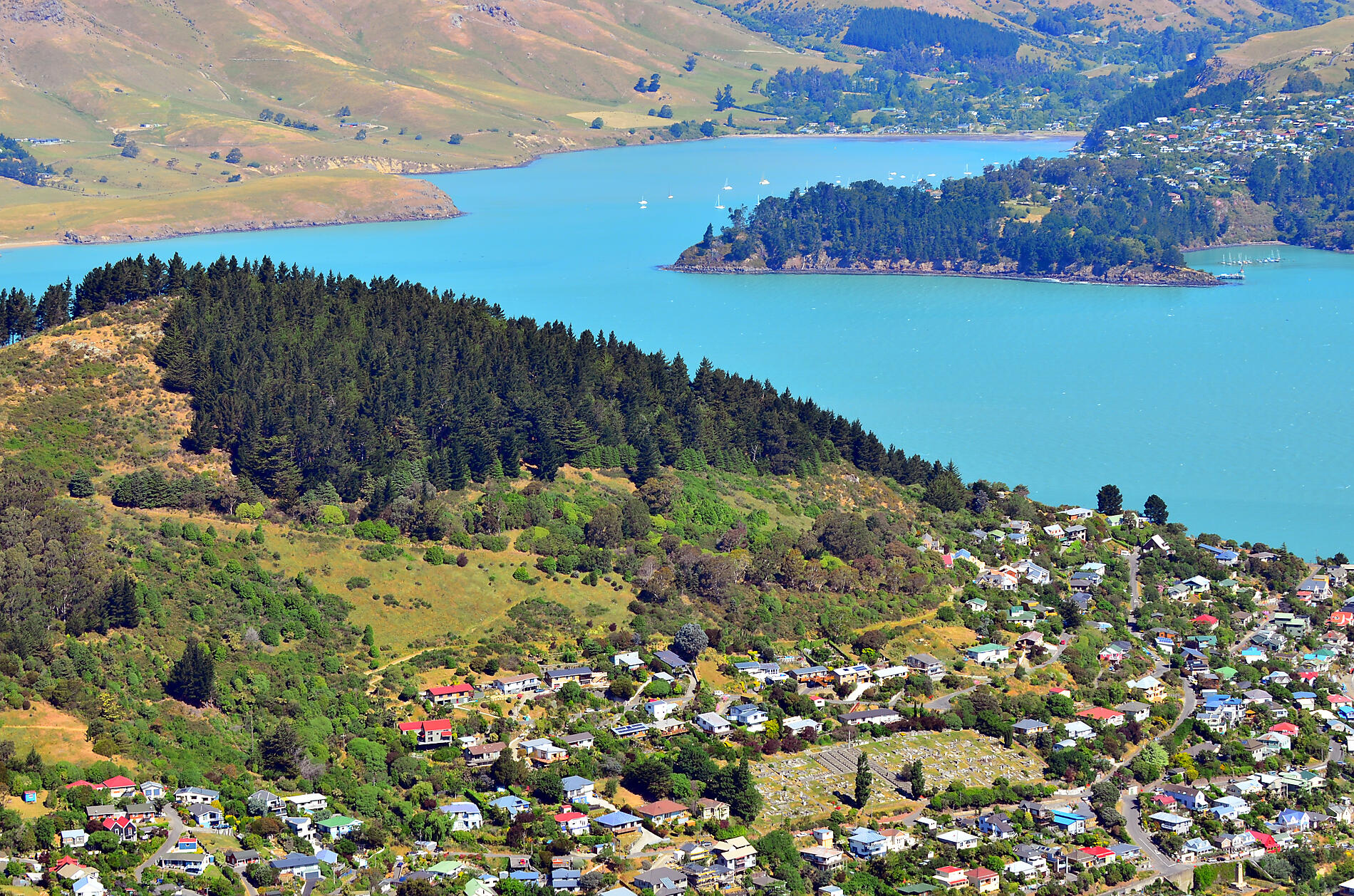 iStock-502066678.jpg