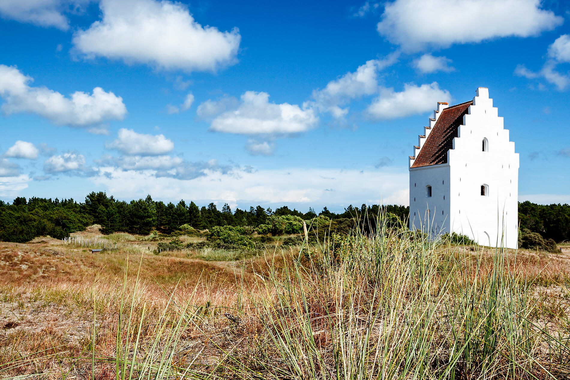 iStock-508666962.jpg