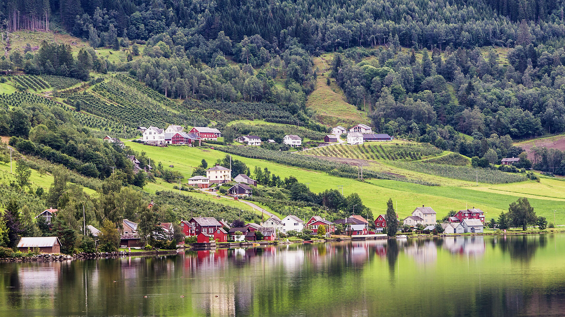 AdobeStock_121605942.jpeg