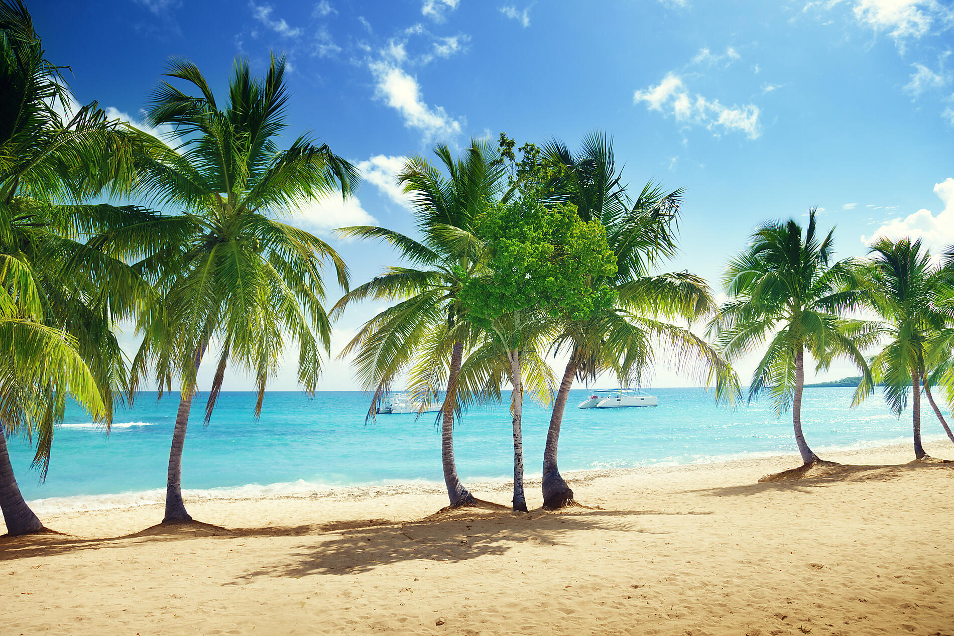 iStock-505368831.jpg
