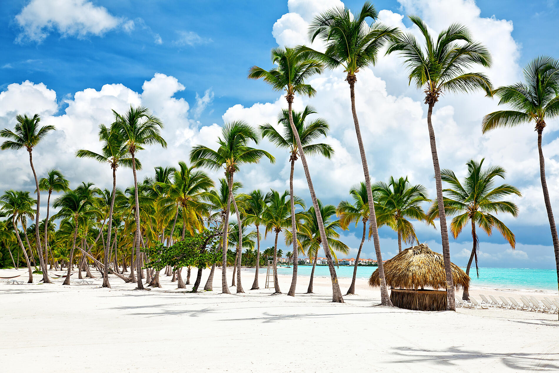 iStock-155360345.jpg