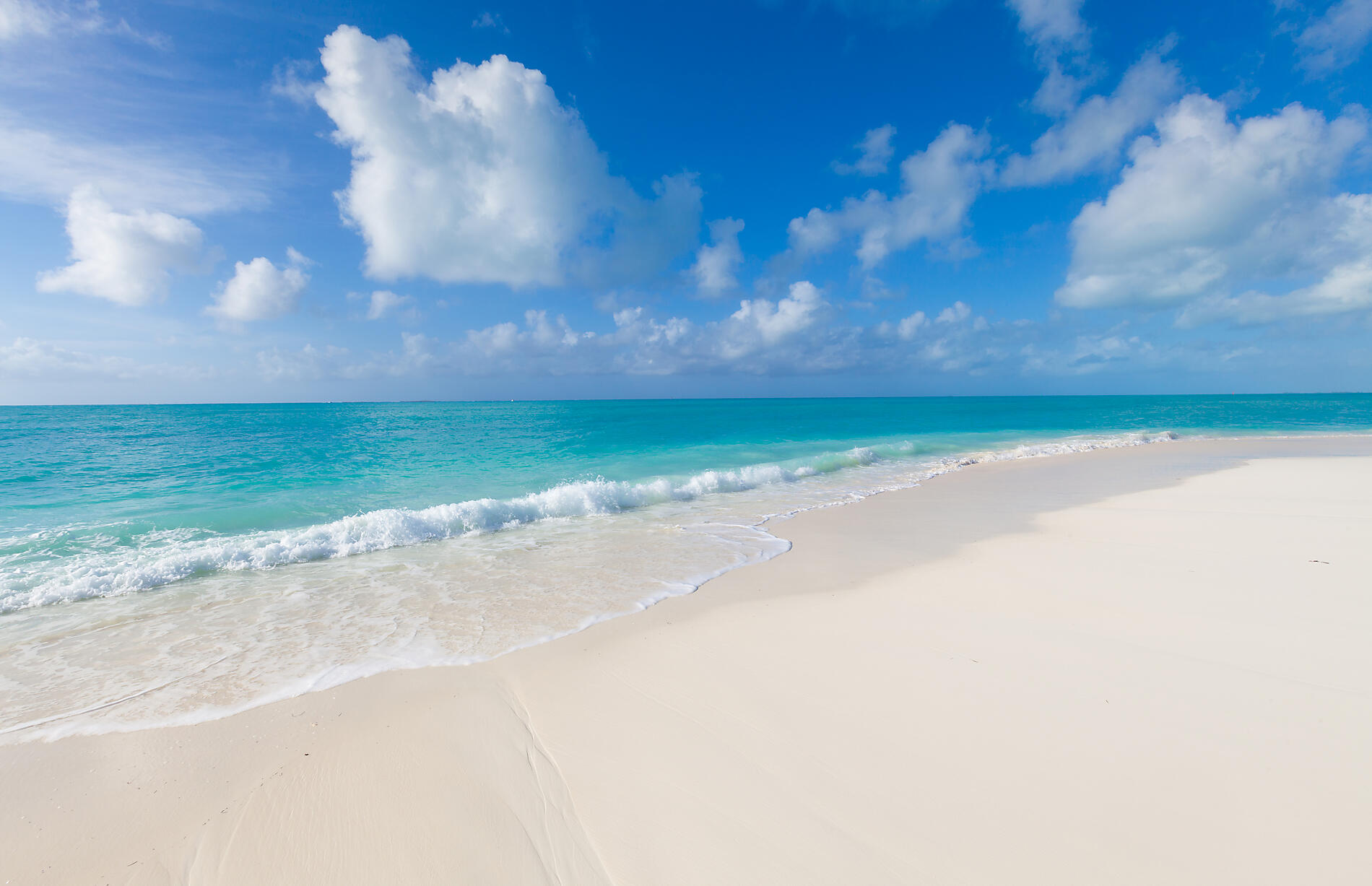 iStock-533576179.jpg