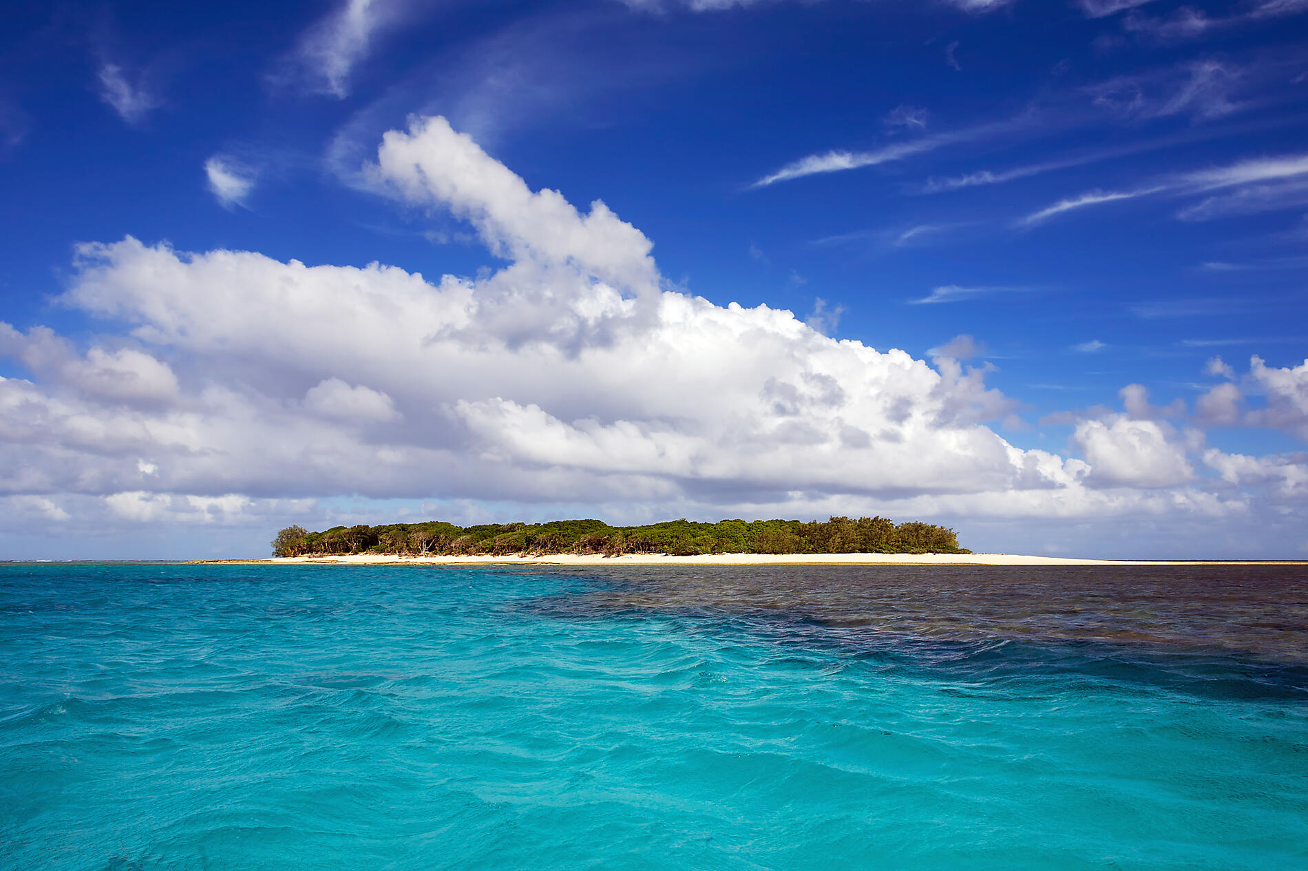 iStock-174383844.jpg