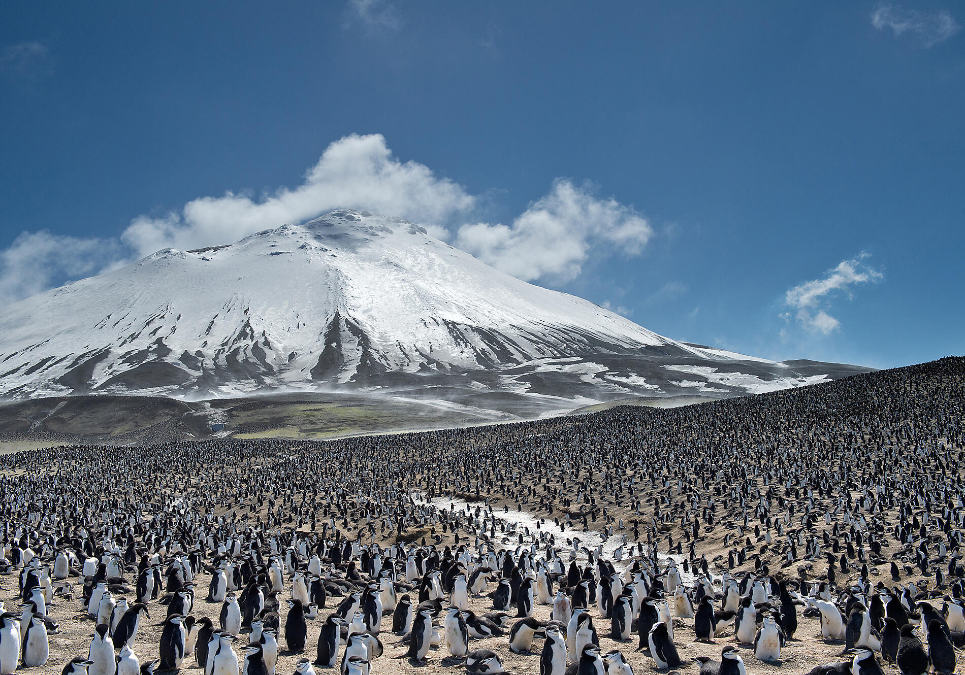iStock-518283186.jpg