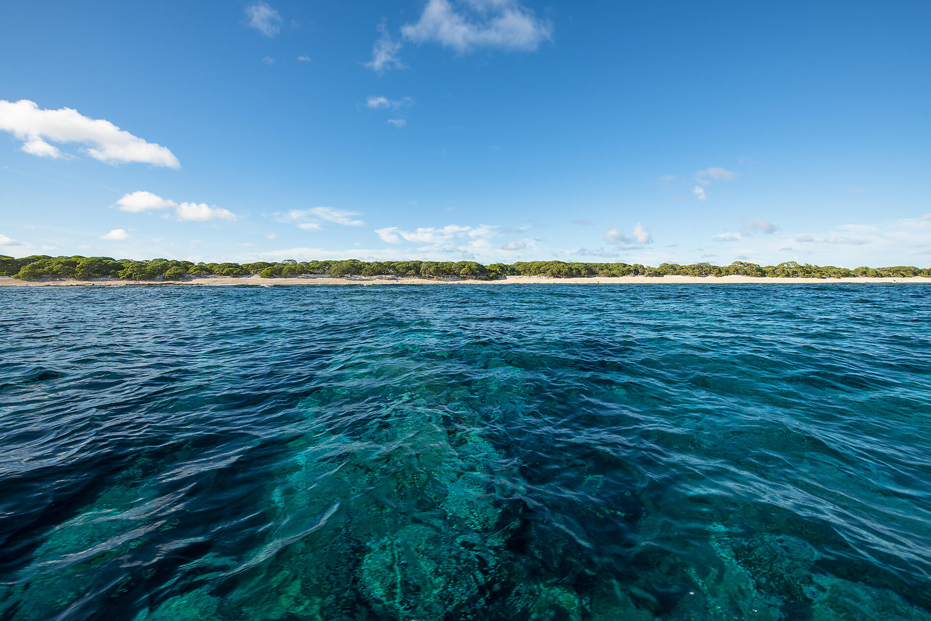 2_S040319_Ducie-Island©StudioPonant-Olivier-Blaud.jpg