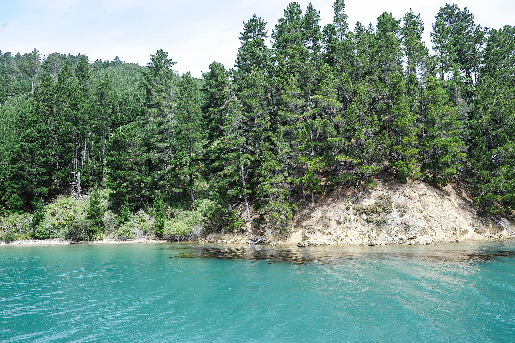 N-713_S220116_Picton©StudioPONANT_Margot-Sib.jpg