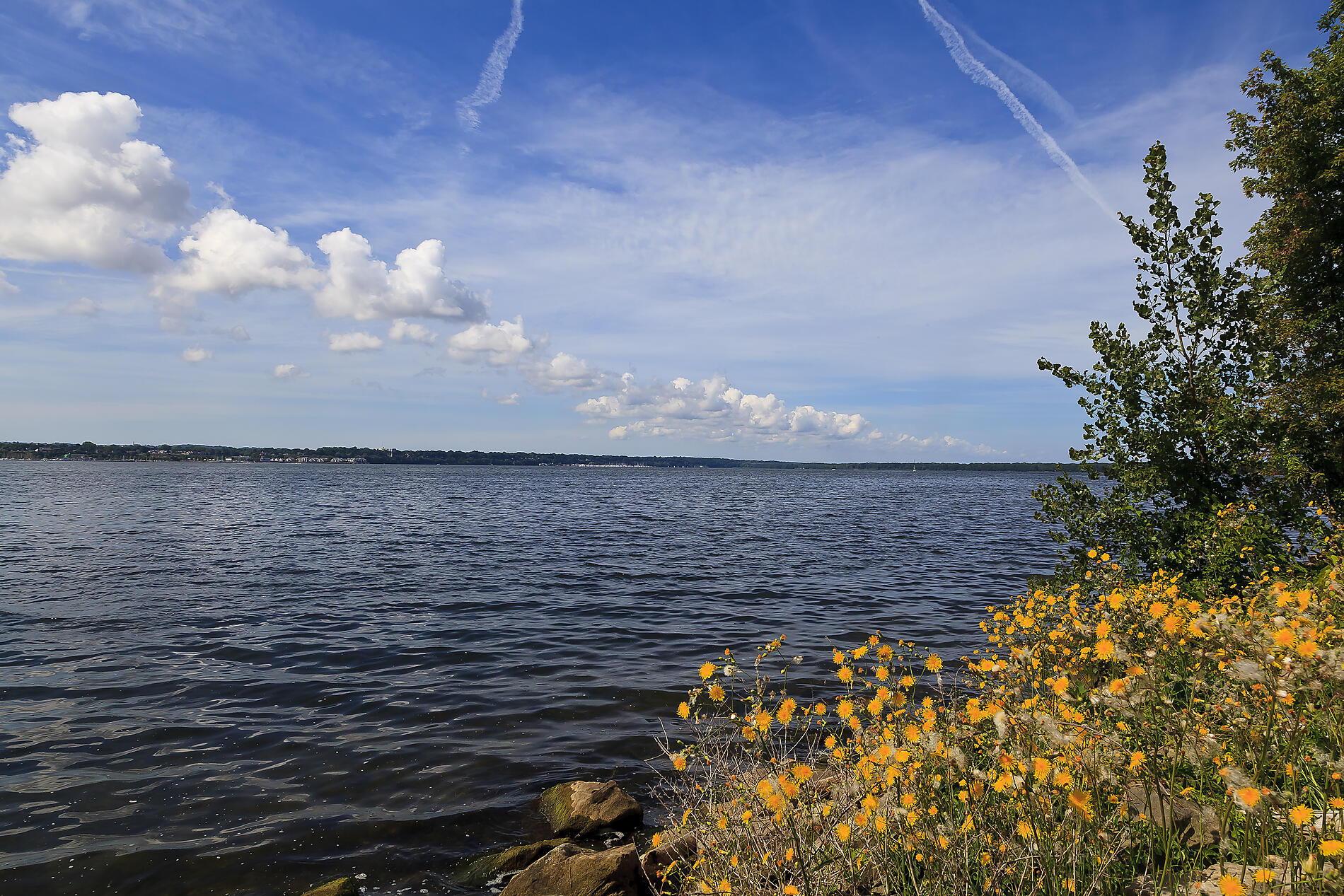 AdobeStock_238190931.jpeg