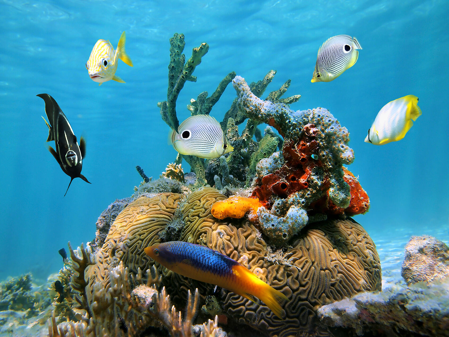 iStock_000022248120_Full.jpg