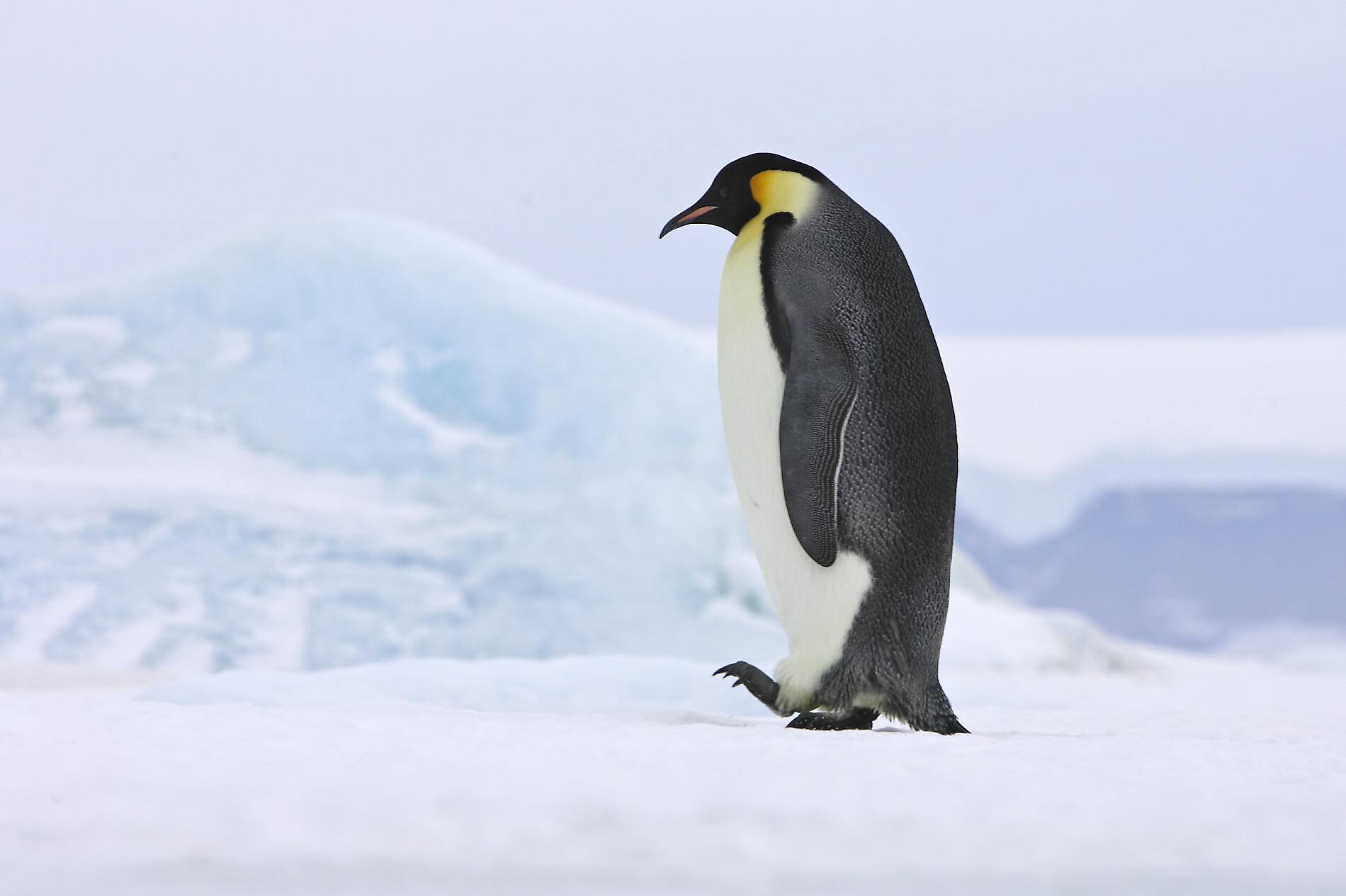 AdobeStock_136695468.jpeg