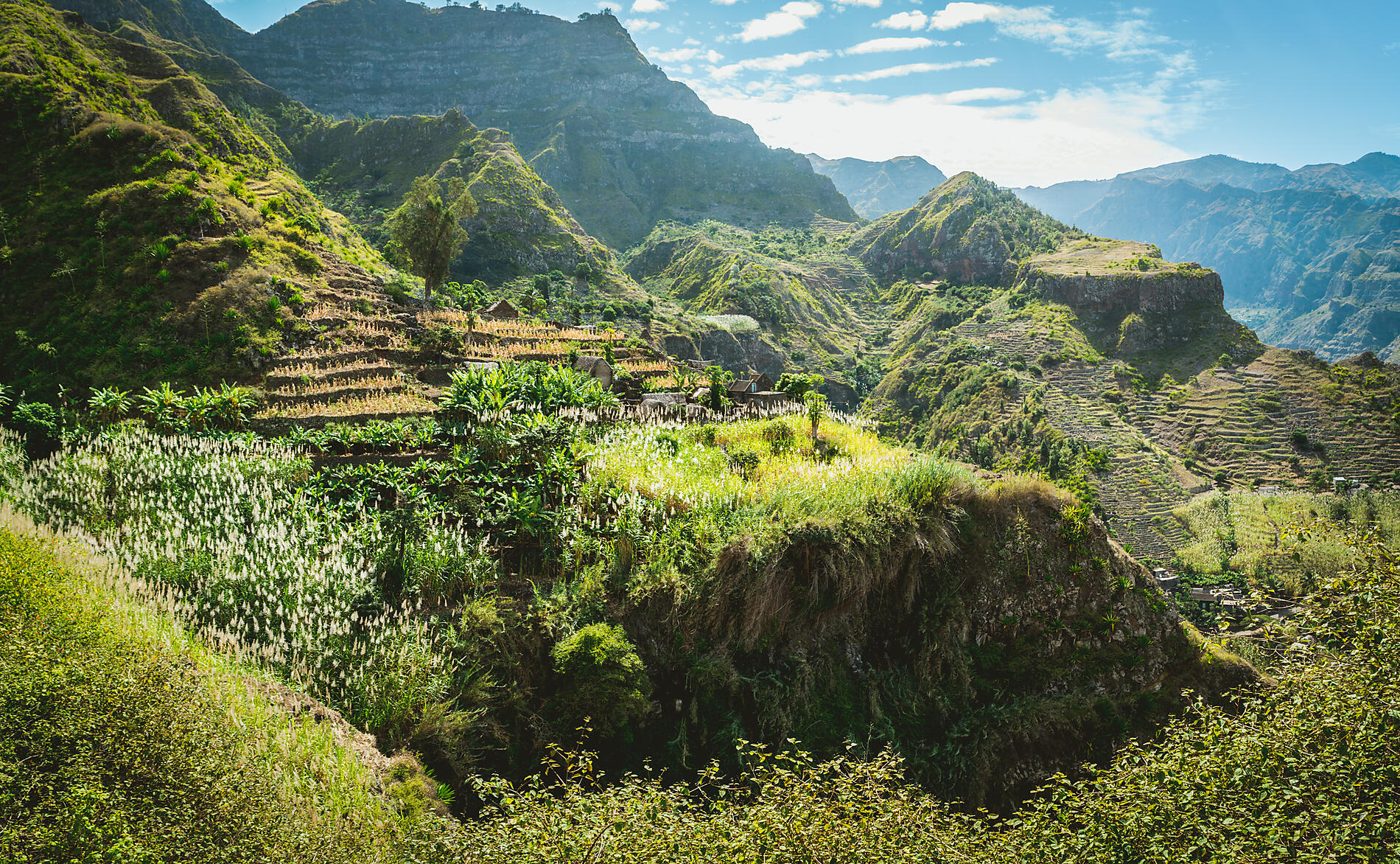 AdobeStock_199202579.jpeg