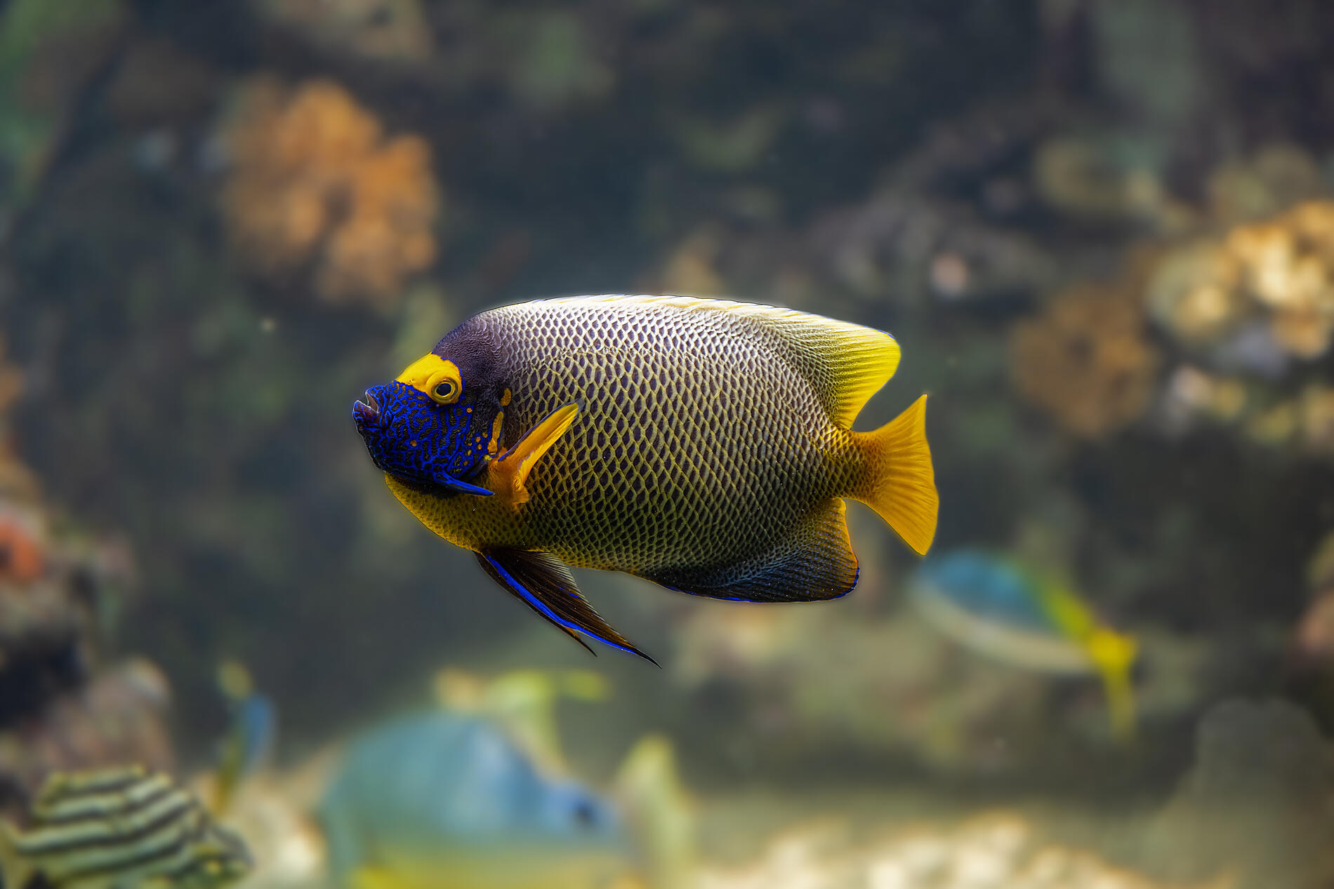 AdobeStock_625444532.jpeg