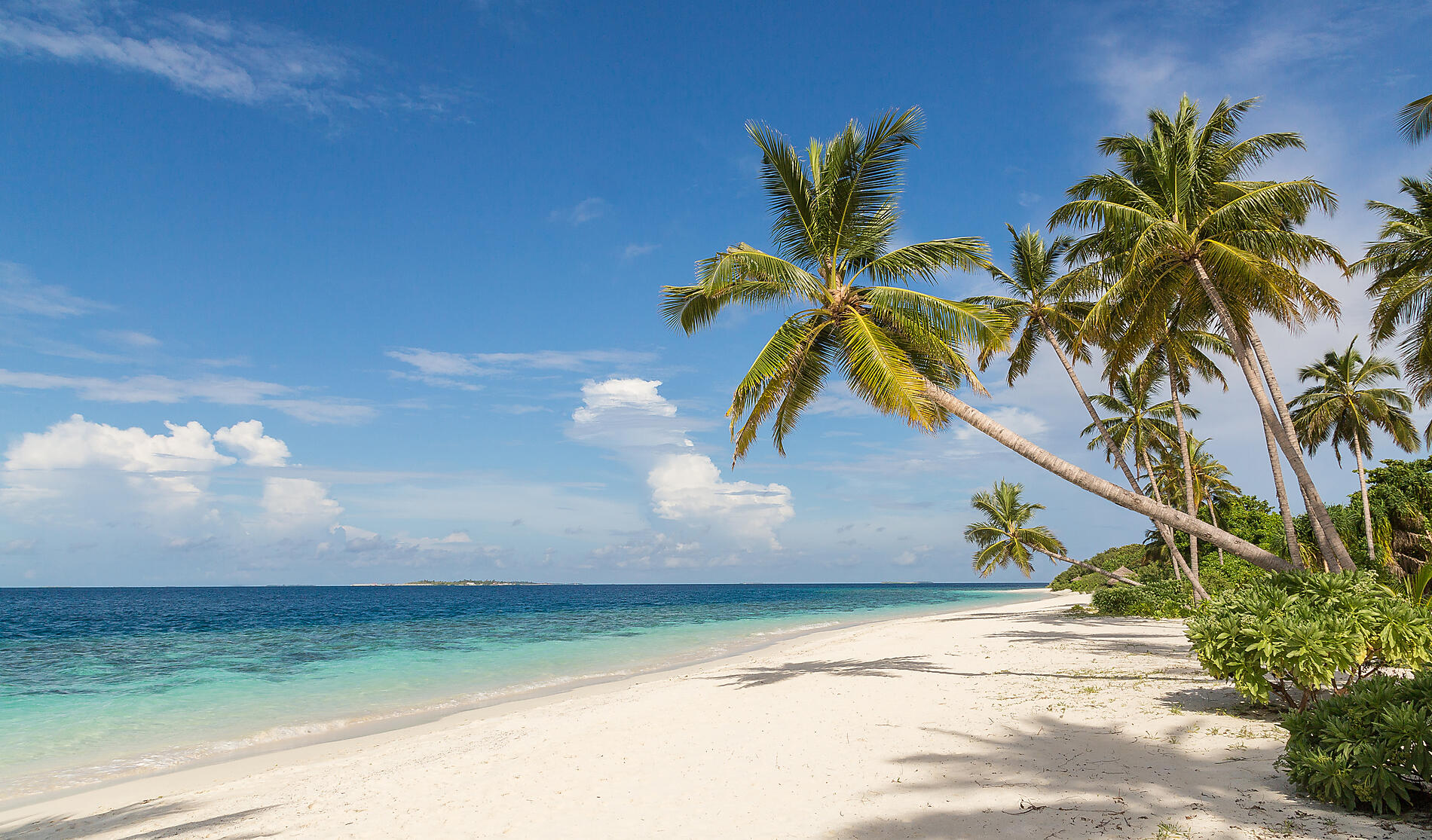 iStock-1059740736.jpg