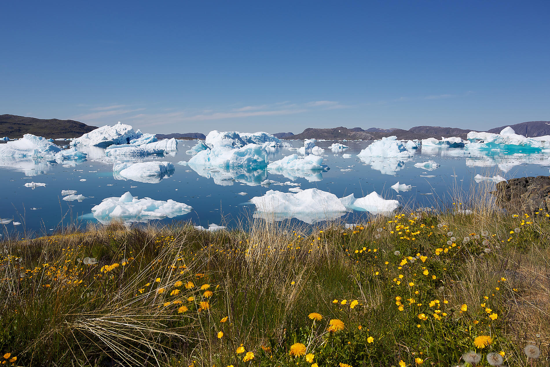 Depositphotos_21440691_l-2015.jpg