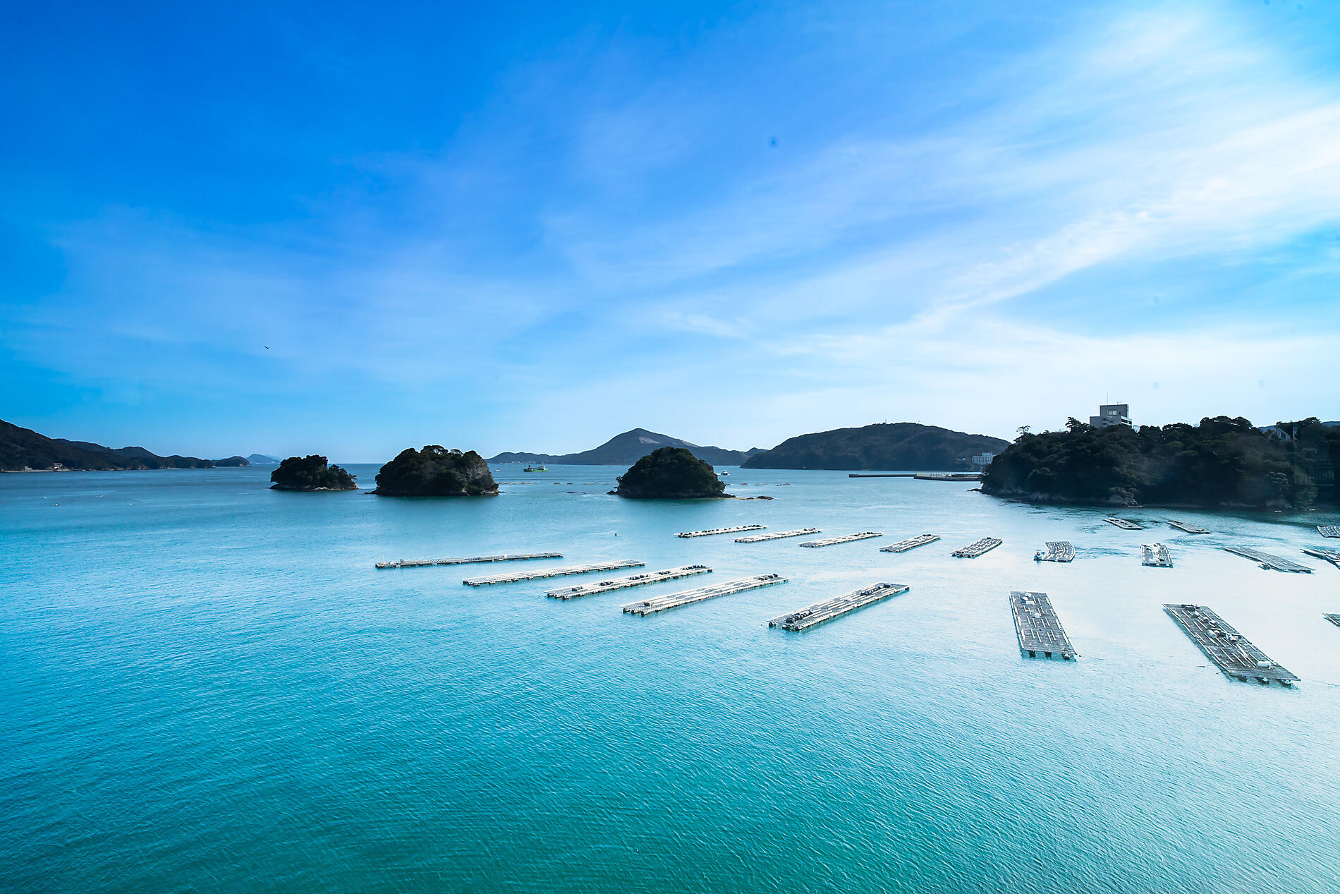 AdobeStock_575251540.jpeg