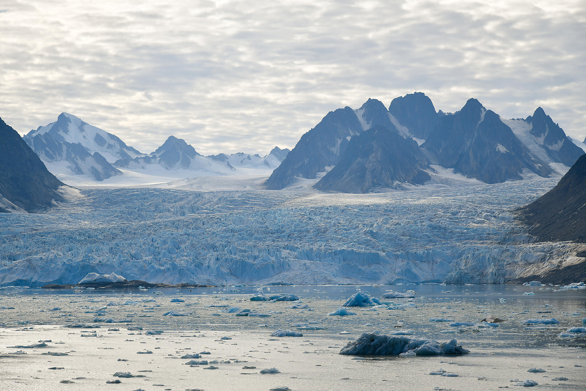 N-2227_B250720_Longyearbyen_Longyearbyen©StudioPONANT-SylvainAdenot-2.jpg