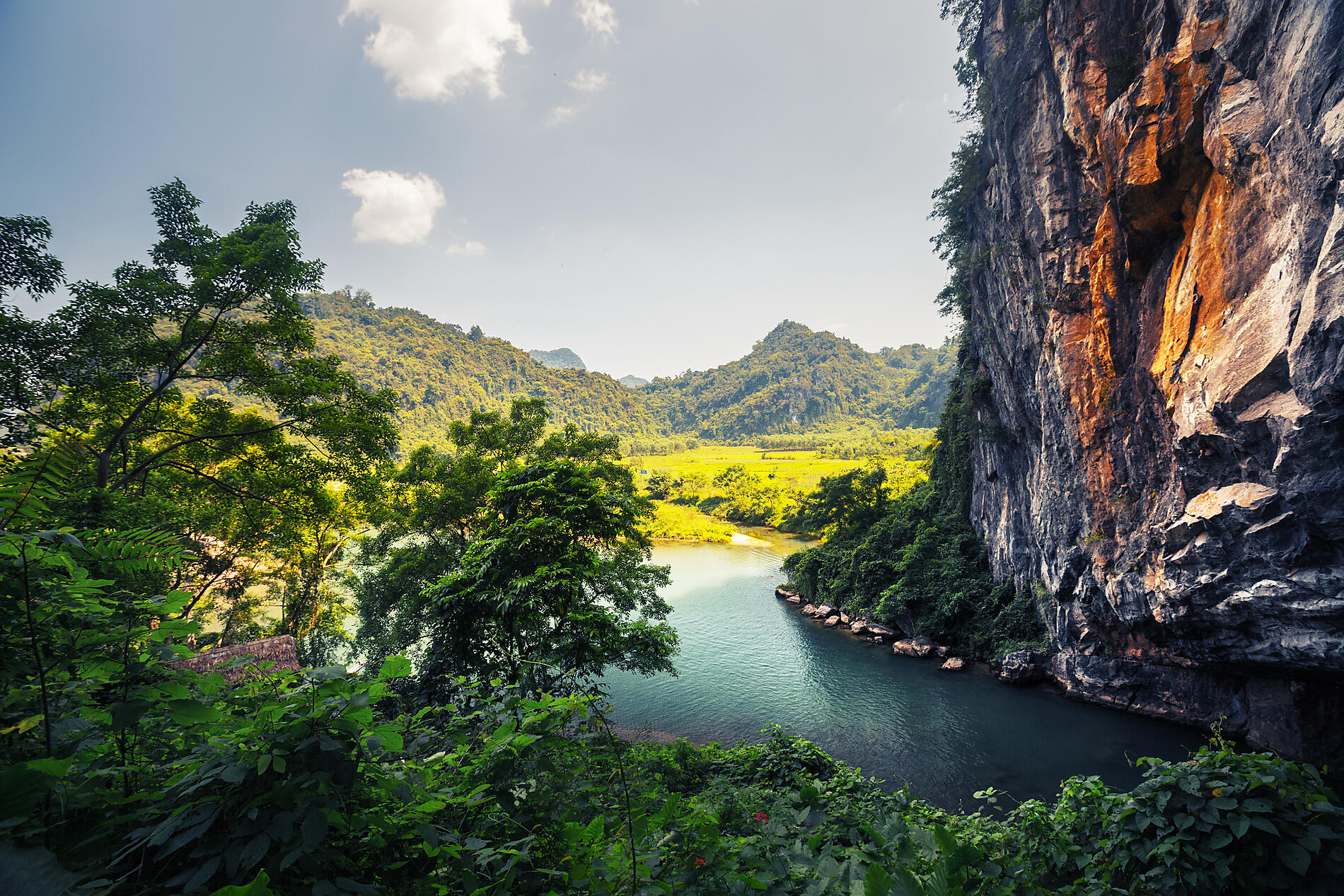 iStock-497971574.jpg