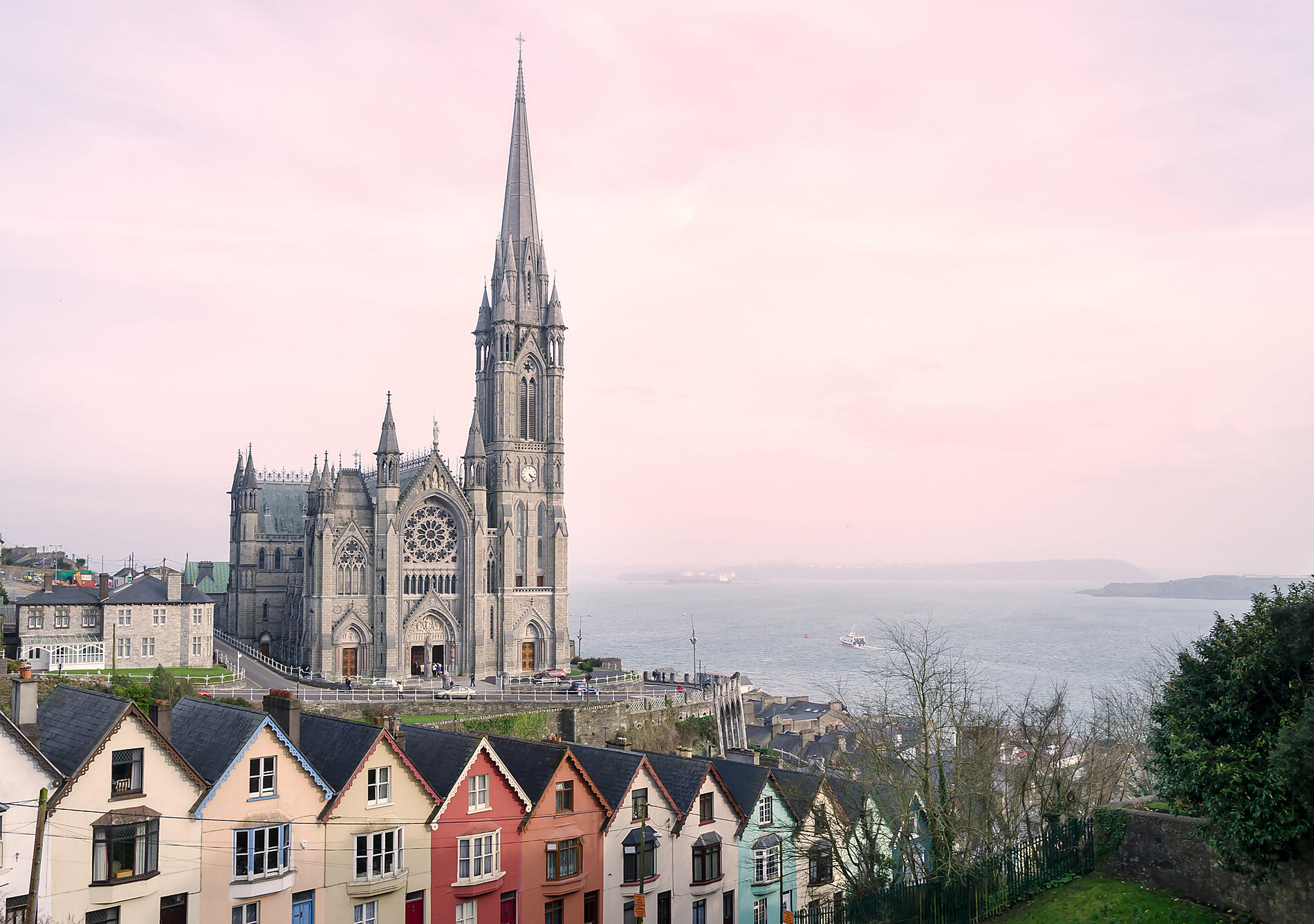 iStock-486600675.jpg