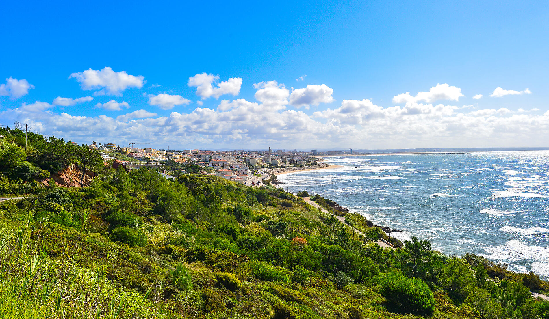 AdobeStock_491503813_figueira.jpeg