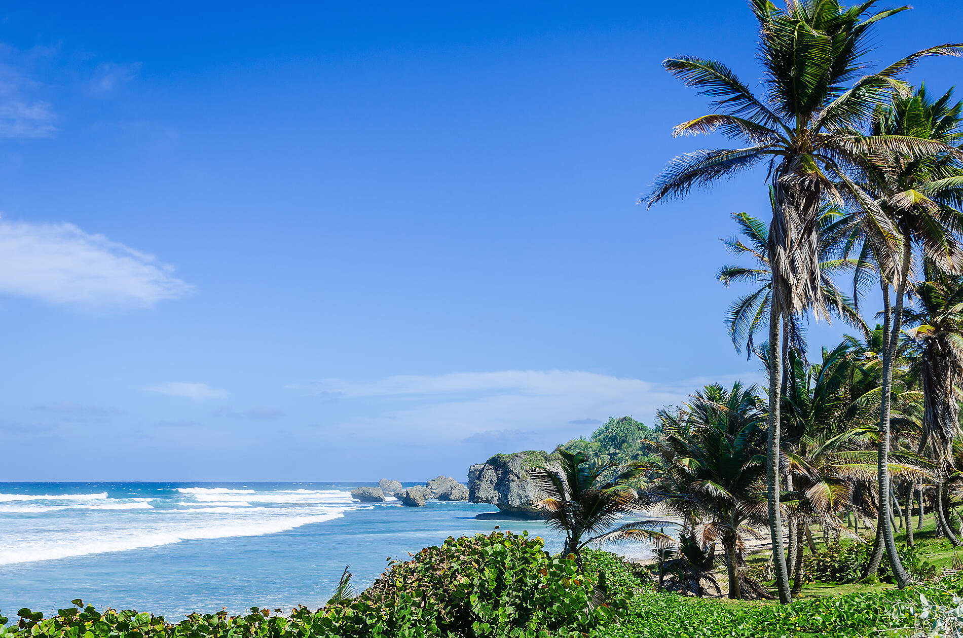 iStock-833075342.jpg
