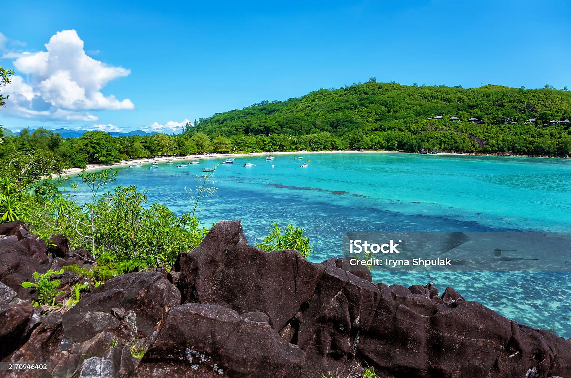 istockphoto-2170946402-preview.jpg