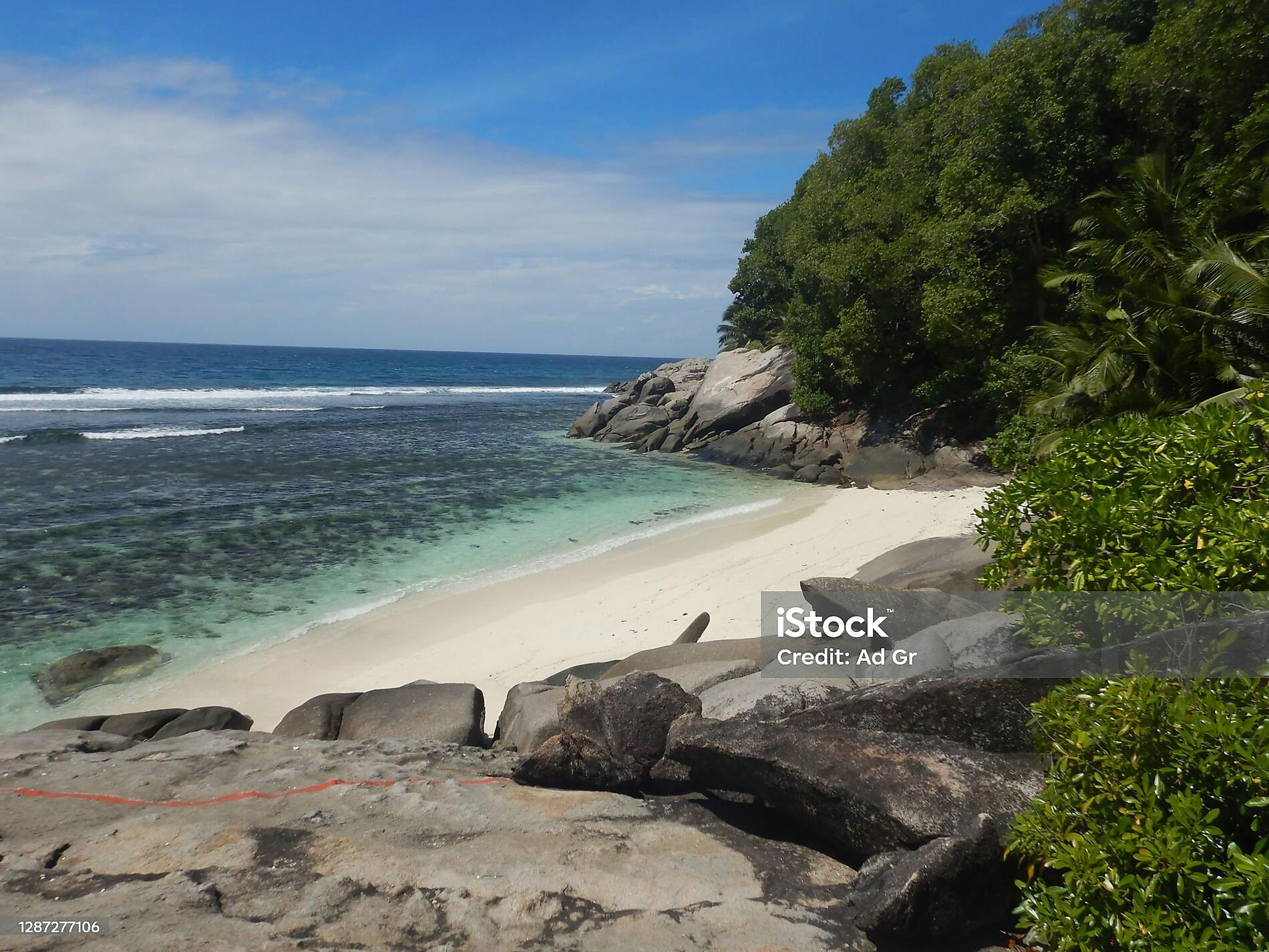 istockphoto-1287277106-preview.jpg
