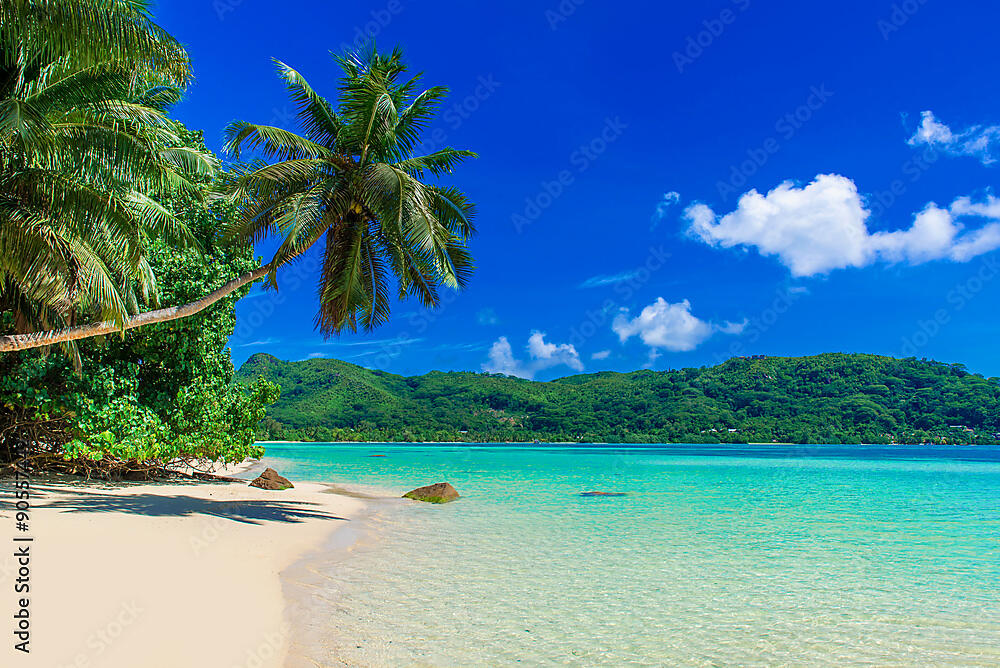 Adobestock_90557442_preview.jpg