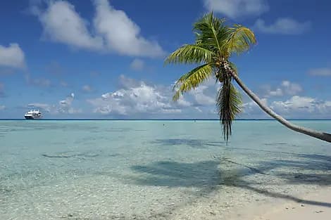31 Juil 27 - Fakarava, îles Tuamotu