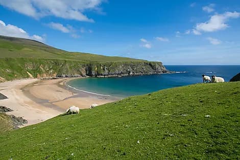 15 Avr 26 - Killybegs