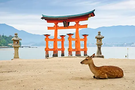 16 Mars 26 - Île Miyajima