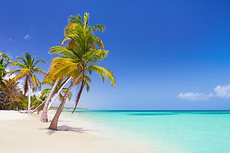 16 Janv 26 - Punta Cana