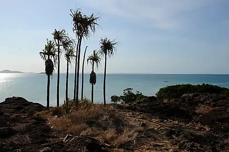 16 Déc 26 - Cape York