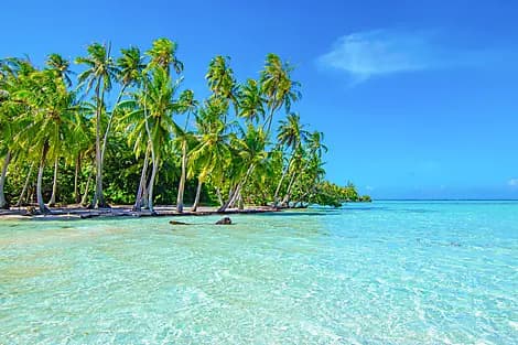 31 Août 26 - Raiatea, îles de la Société