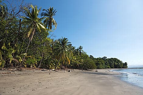25 Janv 26 - Île de Cébaco