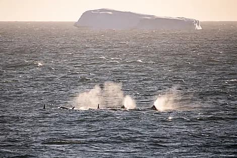25 Janv 26 - Mer d'Amundsen