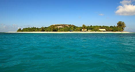 19 Janv 27 - Île Cousin