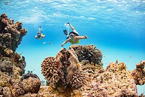 Barbecue sur un Motu et snorkelling