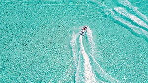 Scooter des mers et randonnée palmée*