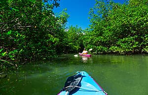 Kayak et randonnée à Punta Uva