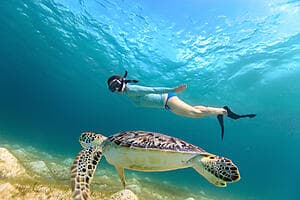 Randonnée palmée dans l’aquarium de Rangiroa