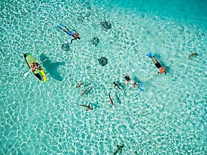 Rencontre avec les raies et les requins
