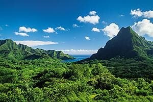 Aventure photographique à Moorea